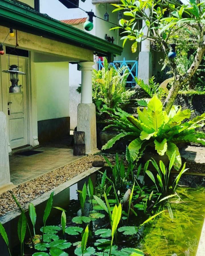 Jansen'S Bungalow Sinharaja Rainforest Retreat Kudawe Экстерьер фото